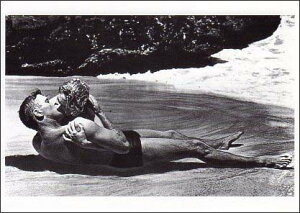 |XgJ[h mNʐ^uf{EJ[/o[gEJX^[v(oD)uniɁv(f)105×150mm bZ[WJ[h Xւ͂ re[W Be[W N㕨