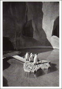 |XgJ[h mNʐ^uyMv105×150mm bZ[WJ[h Xւ͂ re[W Be[W N㕨