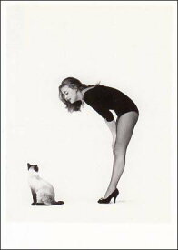 ポストカード モノクロ写真「ジャンヌ・モローと猫」(女優)105×150mm メッセージカード 郵便はがき ビンテージ ヴィンテージ 年代物