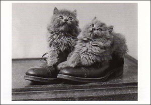 |XgJ[h mNʐ^uC̒ɓC̎qLv105×150mm bZ[WJ[h Xւ͂ re[W Be[W N㕨