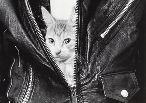 |XgJ[h mNʐ^uWPbgoLv105×150mm bZ[WJ[h Xւ͂ re[W Be[W N㕨