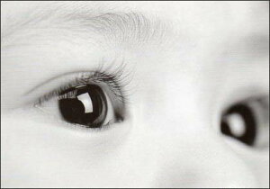 |XgJ[h mNʐ^uԂ̓v105×150mm bZ[WJ[h Xւ͂ re[W Be[W N㕨