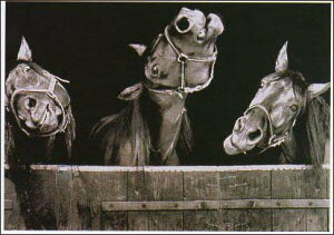 |XgJ[h mNʐ^uO̔n v105×150mm E} bZ[WJ[h Xւ͂ re[W Be[W N㕨