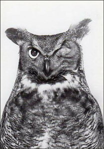 |XgJ[h mNʐ^uЖڂ҂tNEv105×150mm bZ[WJ[h re[W Be[W N㕨