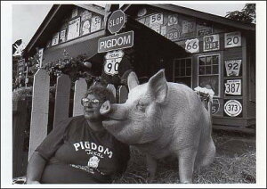 |XgJ[h mNʐ^uǂȐlƃu^v105×150mm bZ[WJ[h re[W Be[W N㕨