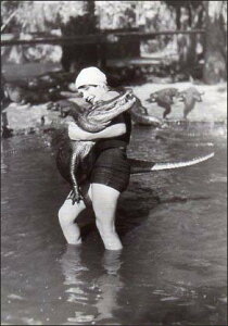 |XgJ[h mNʐ^ujv105×150mm bZ[WJ[h re[W Be[W N㕨