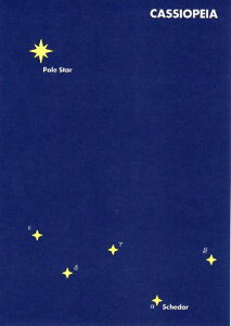 |XgJ[h ̑ MfUCuJVIyAv105×148mm Xւ͂ bZ[WJ[h(MP113)