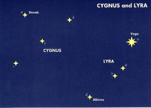 |XgJ[h ̑ MfUCuƋՍv105×148mm Xւ͂ bZ[WJ[h(MP115)