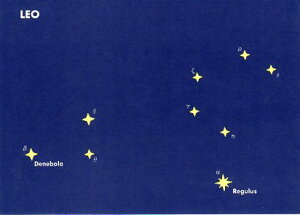 |XgJ[h ̑ MfUCuqv105×148mm Xւ͂ bZ[WJ[h(MP116)