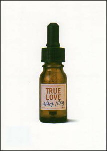 |XgJ[h bZ[W o^C Jg[GuTRUE LOVE/^̈v105×150mm Xւ͂(K690)