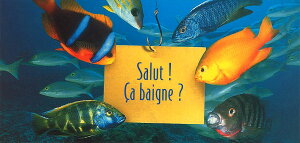 OT}[J[h |XgJ[h J[ʐ^uēHv100×210mm ĕ  Mы C bZ[WJ[h(PR9923900002)