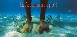 OT}[J[h |XgJ[h J[ʐ^uAbI 񂾁Hv100×210mm ĕ   C C bZ[WJ[h(PR9923900026)