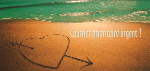 OT}[J[h |XgJ[h J[ʐ^uŗDv100×210mm ĕ  n[g r[` C bZ[WJ[h(PR9923900036)