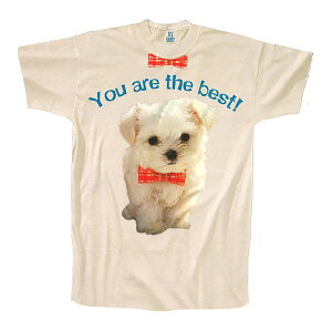 TVc^_CJbg|XgJ[h J[ʐ^uYou are the bestIv150×150mm T}[J[h zCg  bZ[WJ[h ĕ (T-614)