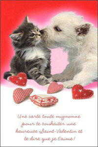 O[eBOJ[h yo^CzuǂȔLƌvyTCY/120×180mmzy̐F/ԁzy/nz(EDV-1803)