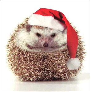 O[eBOJ[h yNX}XzT^XԂnlY~yt/zyTCY/128×128mmzy/uWith Best Wishes for Christmasand the New Yearv̕z(ATBX9488)