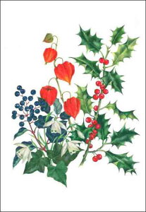 O[eBOJ[h yNX}XzqCMAc^AXm[hbvAV}zIYLyt/zyTCY/108×155mmzy/uSeason's Greetingsv̕z(SXP-N168)