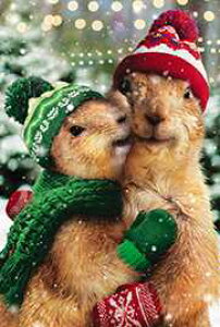 ~jJ[h yNX}XznO郊X/V[Yyt/zyTCY/70×100mmz(AXCX/AVCX0001-4)y[NX}X/킢//V[Y/CMX/G݁z