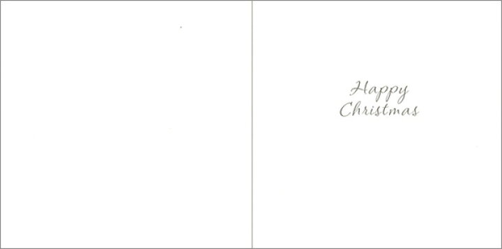 楽天市場 グリーティングカード クリスマス 犬とポスト 封筒サイズ 128 128mm カードサイズ 123 123mm メッセージカード おしゃれ イギリス 輸入雑貨 Wxpc0197 ユージニア 楽天市場店