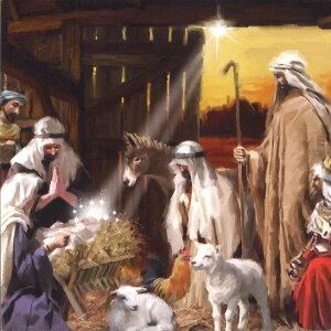 O[eBOJ[hyNX}XzuXv yt/zyTCY/145×145mmzbZ[WJ[h Mtg(FRM0001-1)