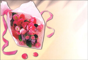 G 5Zbg 108×156mm J[ʐ^ ^[ 莆 蕨 v[g ԑ t[ o^C ̓(PE-008)
