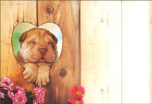 G 5Zbg 108×156mm J[ʐ^ ^[ 莆 蕨 v[g  Ck  o^C ̓(PE-027)