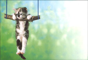 G 5Zbg 108×156mm J[ʐ^ ^[ 莆 v[g L lR  o^C ̓(PE-045)