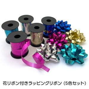 ԃ{tbsO{ 5FZbg sN u[ ANA} S[h Vo[ J[  v[g Mtg 蕨 NX}X  AG