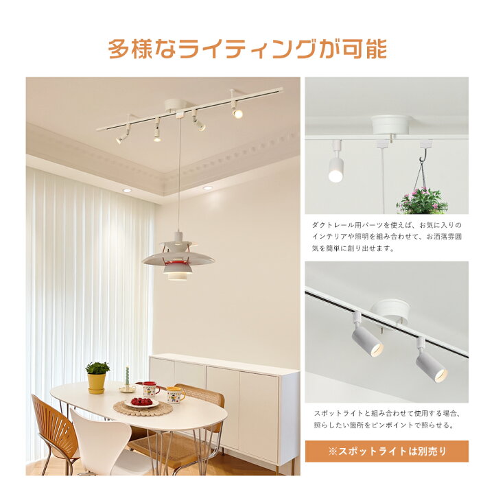 楽天市場】☆マラソン限定最大1000円クーポン☆ダクトレール 1m 1.5m 