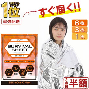 【 楽天1位受賞★現役防災士監修 】\2点目半額!レビュー特典付/アルミシート 断熱 エマージェンシーシート 静音 保温 サバイバルシート アルミブランケット 防寒シート アルミ保温シー
