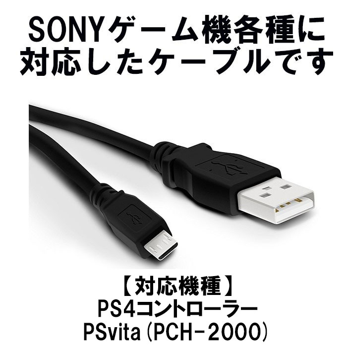 psvita 2000 充電器付き 8GB 携帯用ゲーム本体 テレビゲーム 本・音楽 