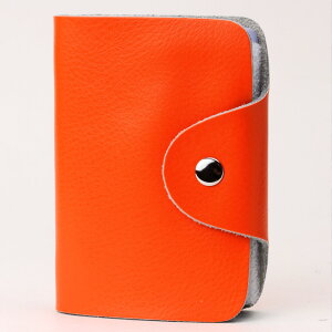 NWbgJ[h |CgJ[h(J[̓IW){v  v@hP[X J[hP[X@IV@40Ȃ52\ 2026[@eʂȃfUC킢J[h v