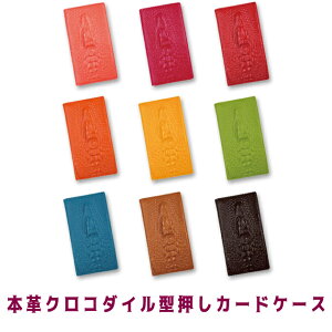 yo [֊]ȂS300~z{v 9J[ 12J[h NR_Cwbh X ăRpNgȃJ[hP[X obOɂ[\Ȗh Jtŏ