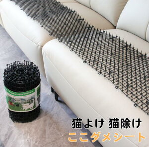 yzL悯 L _V[g L悯ObY L悯΍ ˂悯 lR悯}bg ObY gQgQ ˂悯V[g ǔL΍ V[g }bg Zbg C^Yh~ ƂƂ 