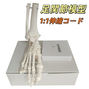 yzr[ƐLтĎ݂ɓ鑫͌^ wÖ@mďC ֐ߖ͌^ l̖͌^ LkR[h ͌^ E 