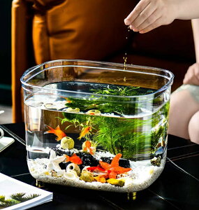     PETf 傫TCY/TCY     e[u ঒ Jj 炵 T   ANZT[ ItBX@\