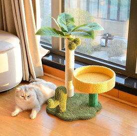 キャットタワー 据え置き型 小型 猫タワー シニア ハウス おもちゃ 麻紐 爪とぎ付き おしゃれ 省スペース 猫 猫用 コンパクト シニア 運動不足 猫ちゃん 組み立て簡単 猫 ねこ ペットグッズ 上品 ミニ おしゃれ