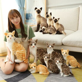 猫 ぬいぐるみ リアル シャムネコ タヌキ猫 茶トラ猫 ペット シャム猫 ねこ そっくり ネコ 子ども キッズ ギフト クリスマス プレゼント 子供 女の子 男の子 癒し ふわふわ かわいい 贈り物 25cm 30cm