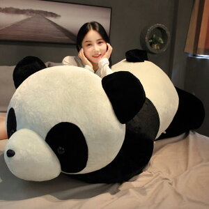 10N[|sIGGp_ ʂ  60/80/100/120/150/200cm 킢 ʂ 傫  v[g Mtg lC LbY q w l  a  Aj} 