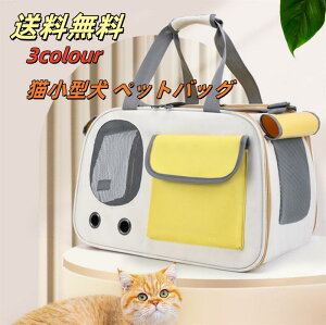 yz L L[obO ܂肽 V_[@L ybgL[  J[et y ʋC bN_ut@Xi[  ^ ybgobO o s hCu 