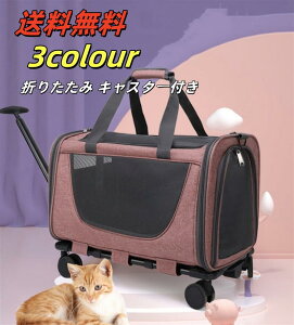 y10%OFFN[|撆zyz L L[obO ܂肽 V_[@L ybgL[  J[et y ʋC bN_ut@Xi[  ^ ybgobO 