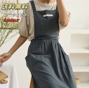 [NGv fB[X Y Gv |Pbg  h^ S5F p fj t[TCY JtFGv OGv 傫TCY