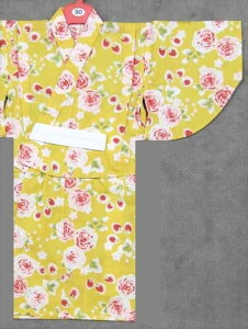 1C2ˁ@߁@sy-13 ΂EEFn