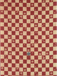 nI̗nEhu-9 s畿Ex[WF