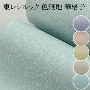  VbN Fn ؊iq S6F 􂦂VbN iTCY傫TCY܂ŁjfB[X Li藁ߐX tH[}`Z~tH[} |GXe100iVb