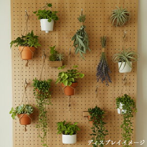 条件付送料無料【1枚】床材本舗オリジナル 有孔ボード 木目調 プランクアルダー UKB-PA-2422-121 薄茶【厚さ4mm×910mm×1820mm/5φ-25P 5ミリ穴 25ピッチ】強化紙+合板 パンチングボード ペグボード 穴