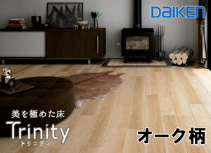 yڋʏiz YN7701-30y݌ɕizy̓\pzyHV[gz_CPtA t[O gjeB I[N 178mm L ̊ a0  g[Ή ybgΉ DAIKEN 匚H