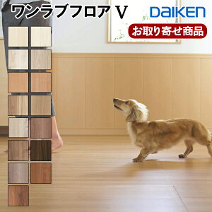 YN87-XX  ̓\p HV[gtA _CP utA5 ybgΉ Gɂ g[Ή  匚H Ai (3.3ē)12~t[O ybgp DAIKEN 25kg