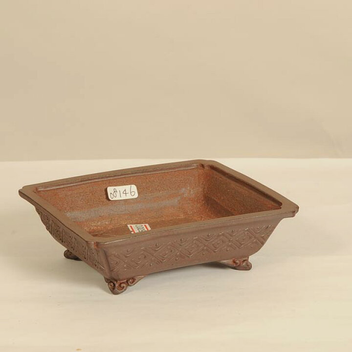 楽天市場】盆栽小鉢：屯洋（とんよう) 長方鉢 11.0cm【現】*Tonyou 