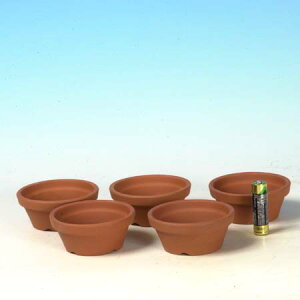 FYfĂ@鉷@2.5@5Zbg*